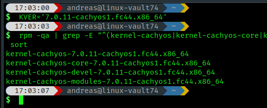CachyOS Kernel Module
