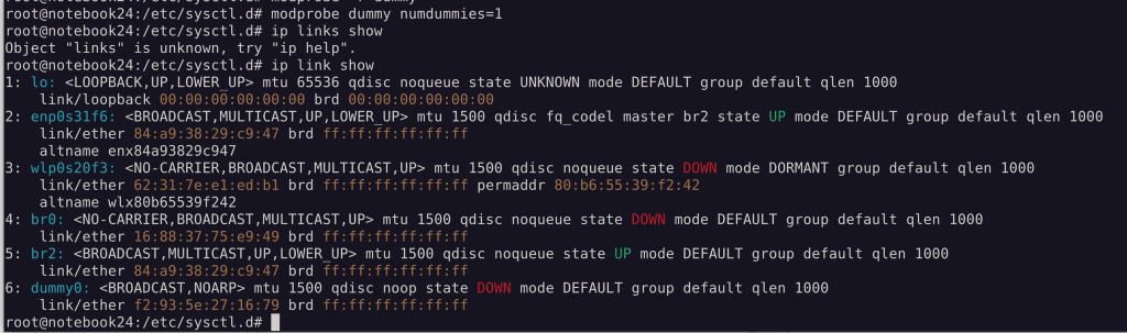 dummy network device