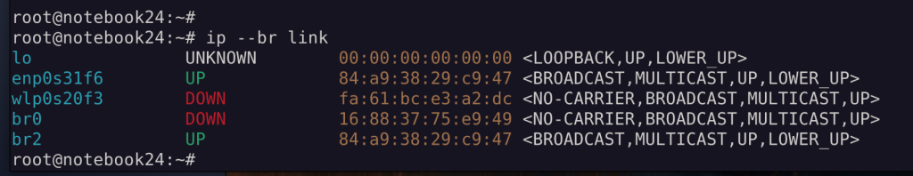ip link / brief anzeige
