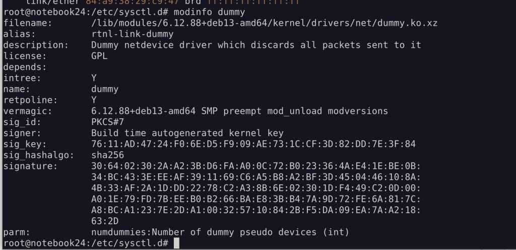 dummy module