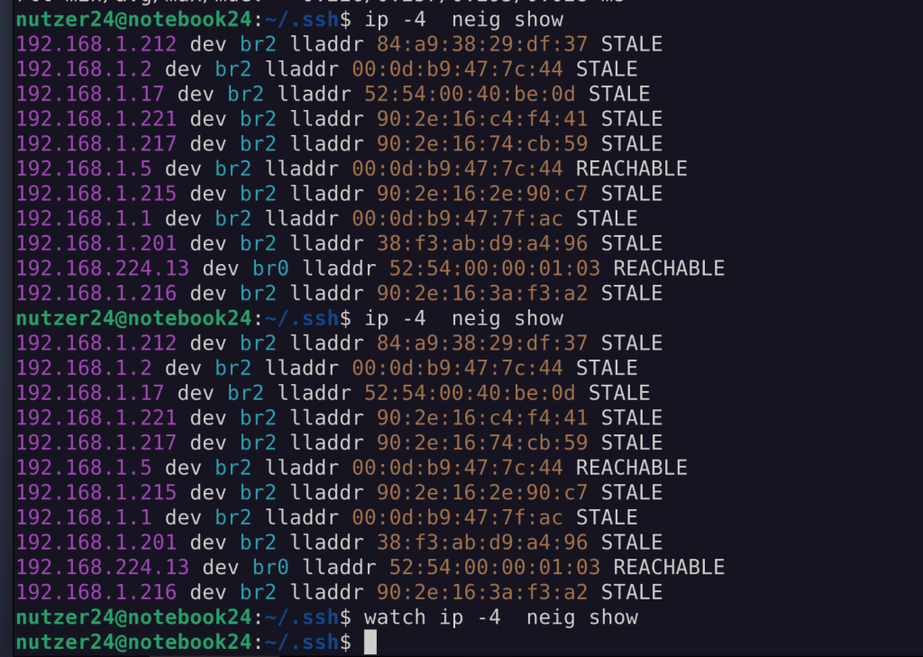arp / ip neig show