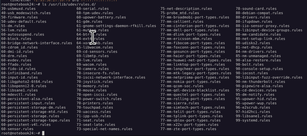 system udev rules