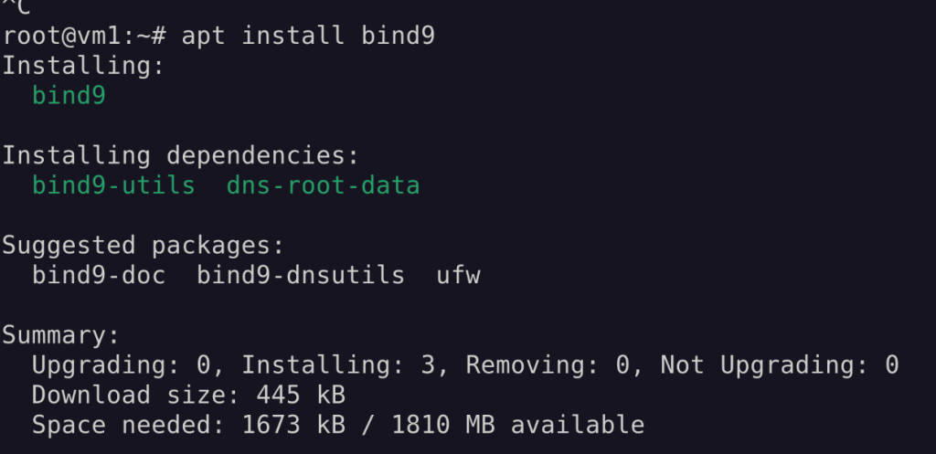 BIND Install